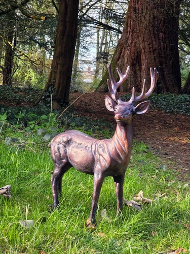 Stag deer garden sculpture - stag,