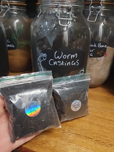 Worm castings manure - worm,